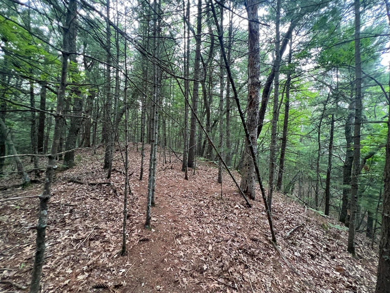Photo 2 of Land for sale at V/l A Lenox Ave, Pentwater, MI 49449 | MLS# 70523471 | Listing updated on 2026-10-20