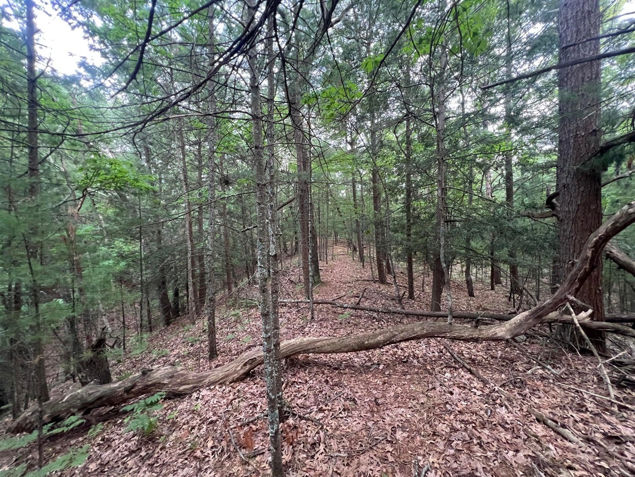 Photo 3 of Land for sale at V/l A Lenox Ave, Pentwater, MI 49449 | MLS# 70523471 | Listing updated on 2026-10-20
