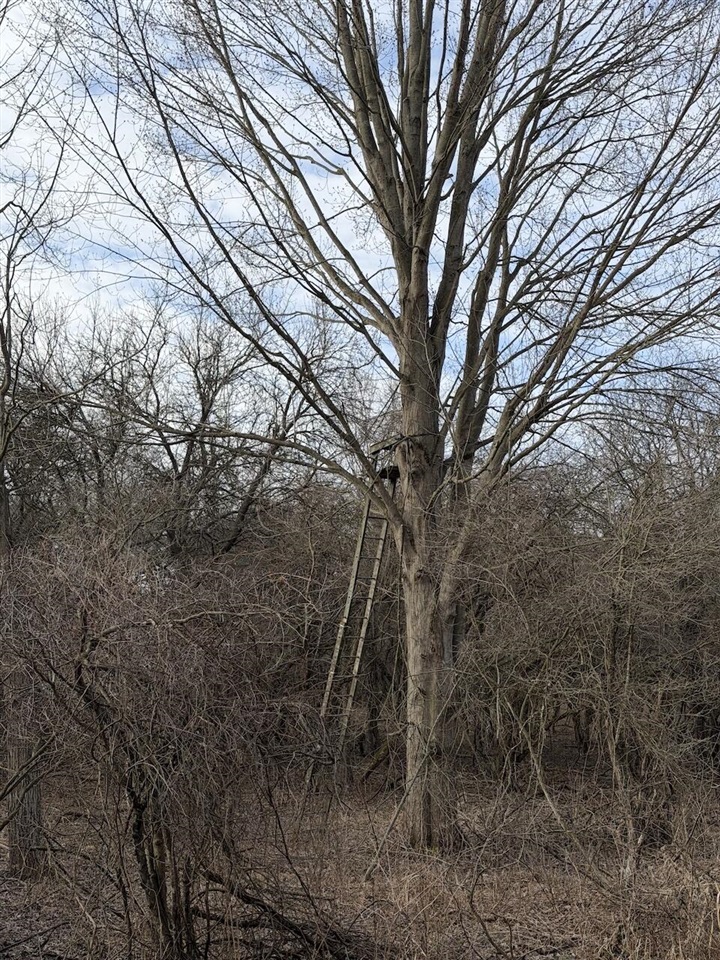 VL Harper Road, Holt, MI, 48842