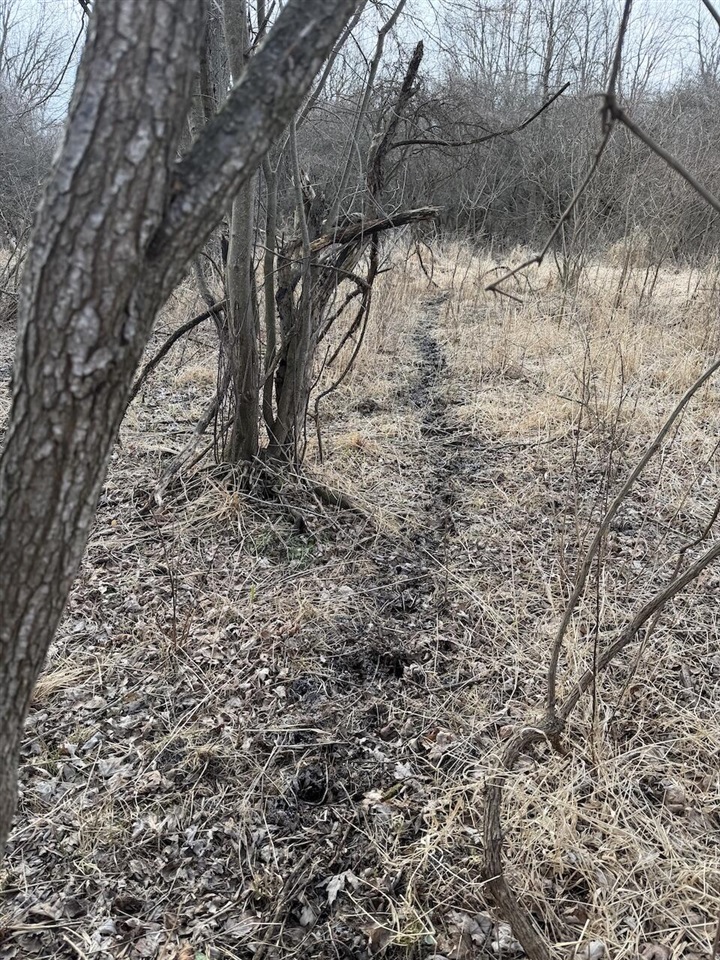 VL Harper Road, Holt, MI, 48842