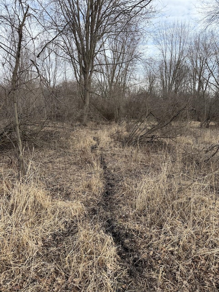 VL Harper Road, Holt, MI, 48842