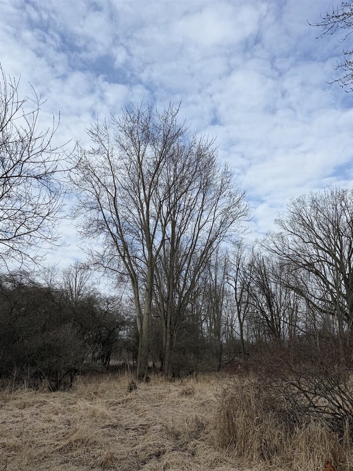 VL Harper Road, Holt, MI, 48842