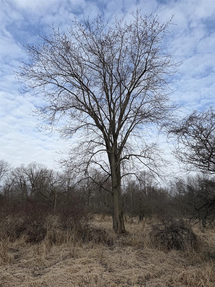 VL Harper Road, Holt, MI, 48842