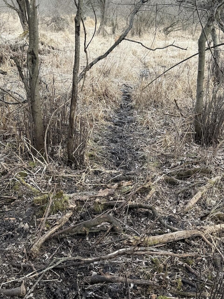 VL Harper Road, Holt, MI, 48842