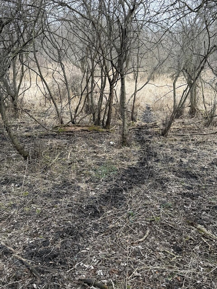 VL Harper Road, Holt, MI, 48842