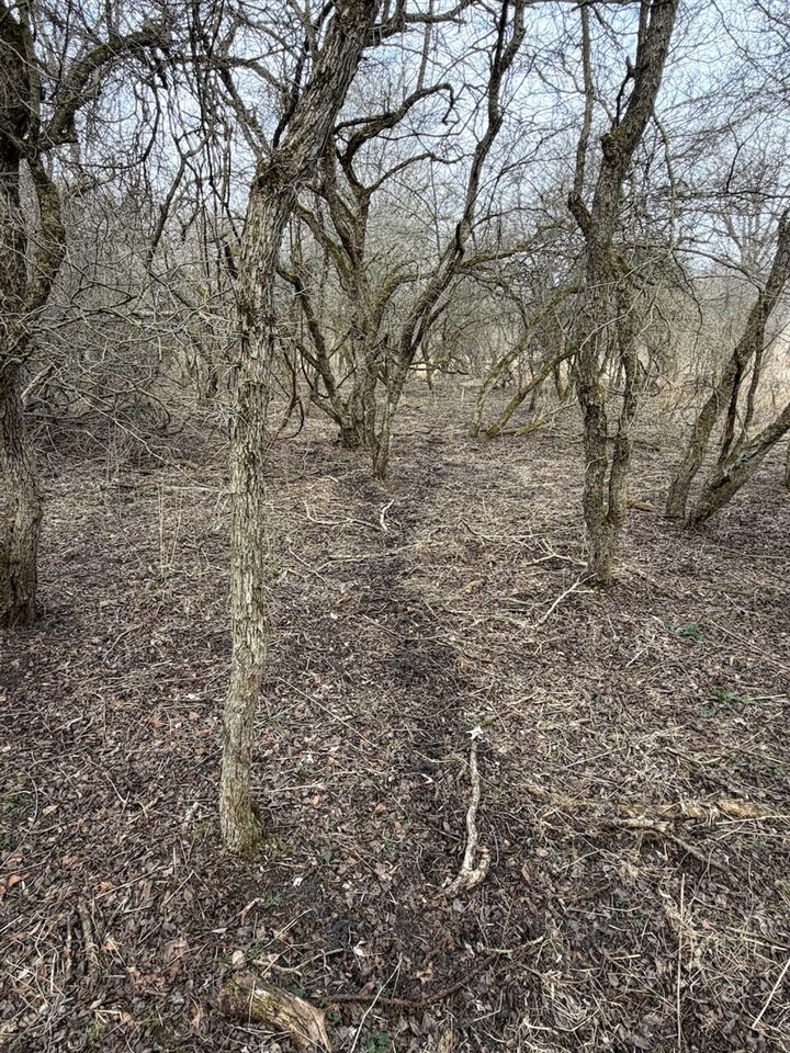 VL Harper Road, Holt, MI, 48842