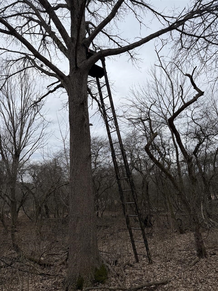 VL Harper Road, Holt, MI, 48842