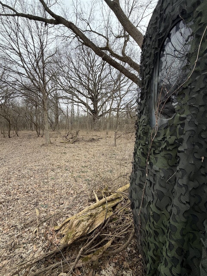 VL Harper Road, Holt, MI, 48842