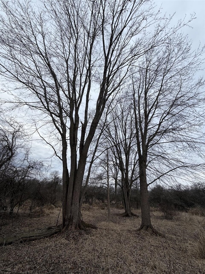 VL Harper Road, Holt, MI, 48842