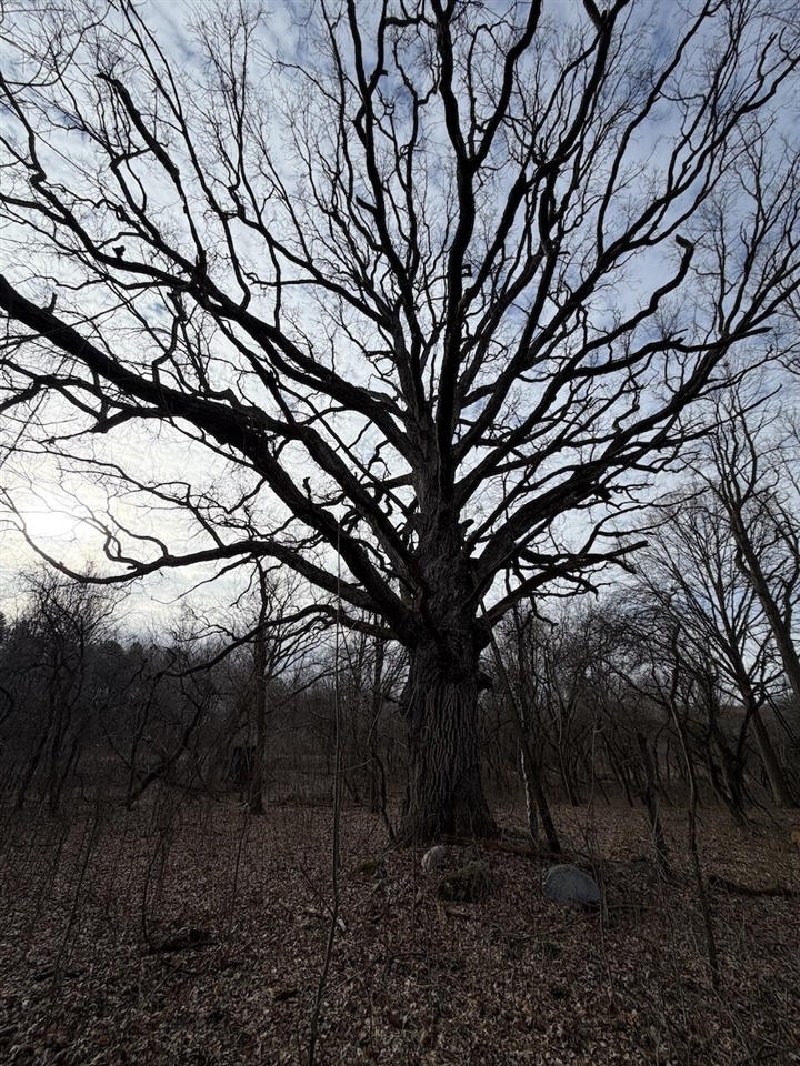 VL Harper Road, Holt, MI, 48842