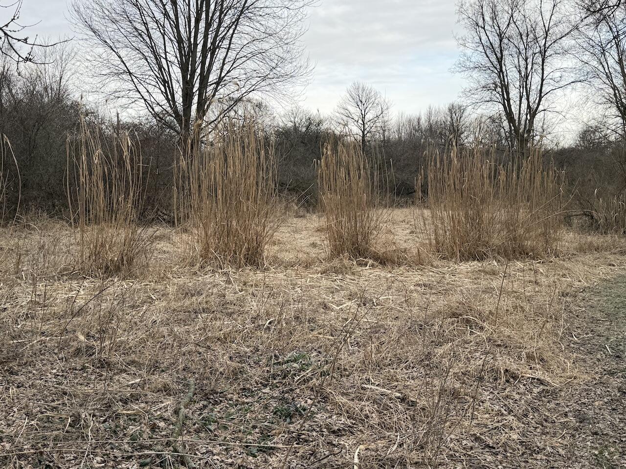 VL Harper Road, Holt, MI, 48842