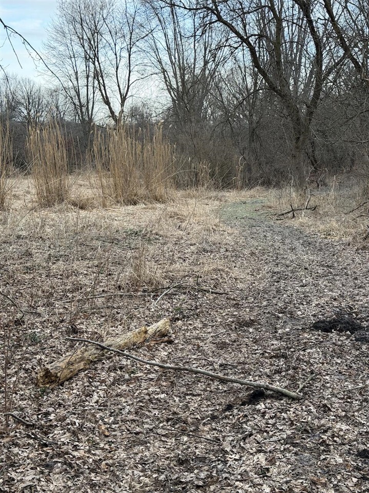 VL Harper Road, Holt, MI, 48842