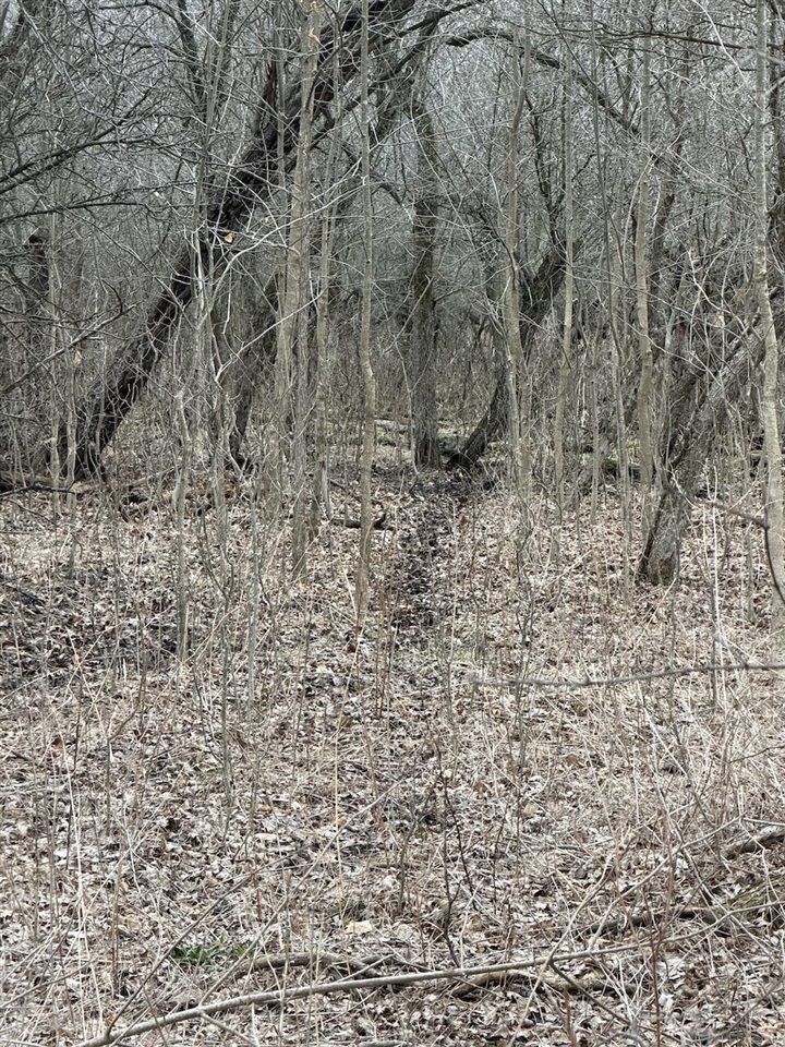 VL Harper Road, Holt, MI, 48842