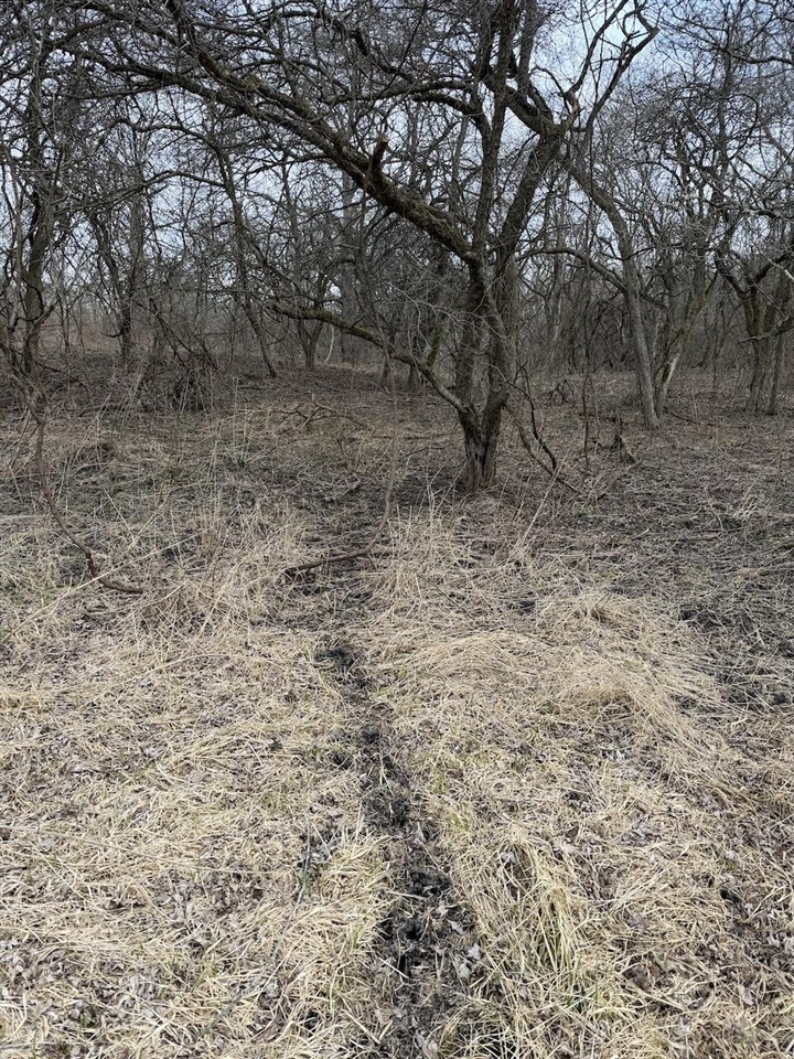 VL Harper Road, Holt, MI, 48842