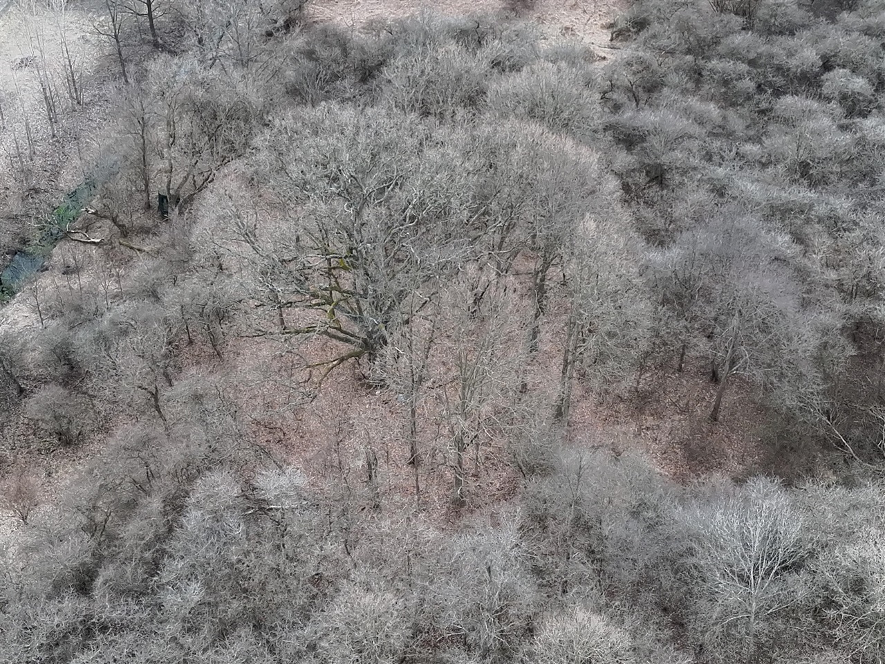 VL Harper Road, Holt, MI, 48842