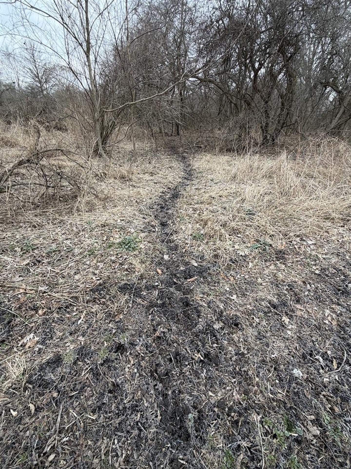 VL Harper Road, Holt, MI, 48842