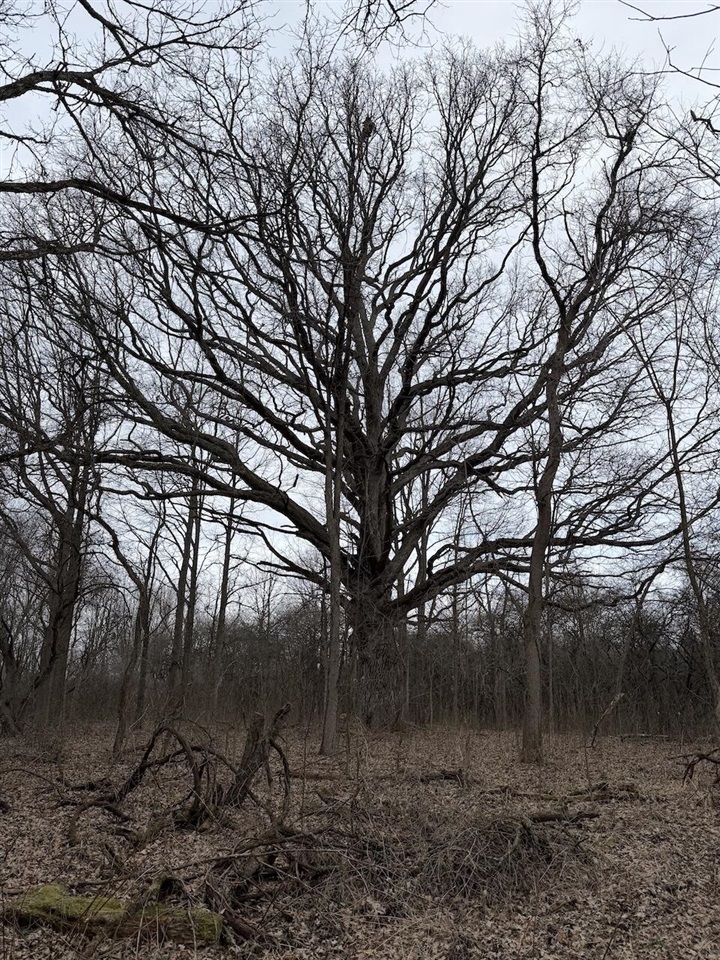 VL Harper Road, Holt, MI, 48842