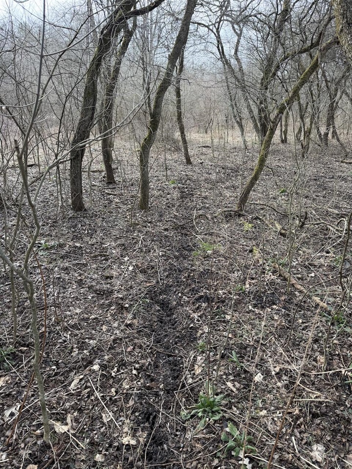 VL Harper Road, Holt, MI, 48842