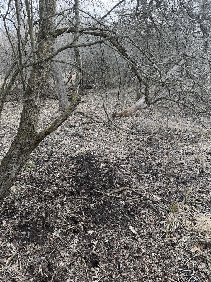 VL Harper Road, Holt, MI, 48842