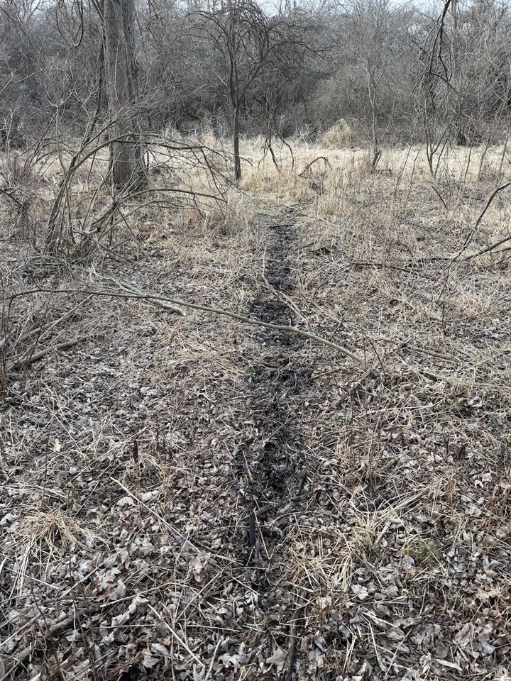 VL Harper Road, Holt, MI, 48842