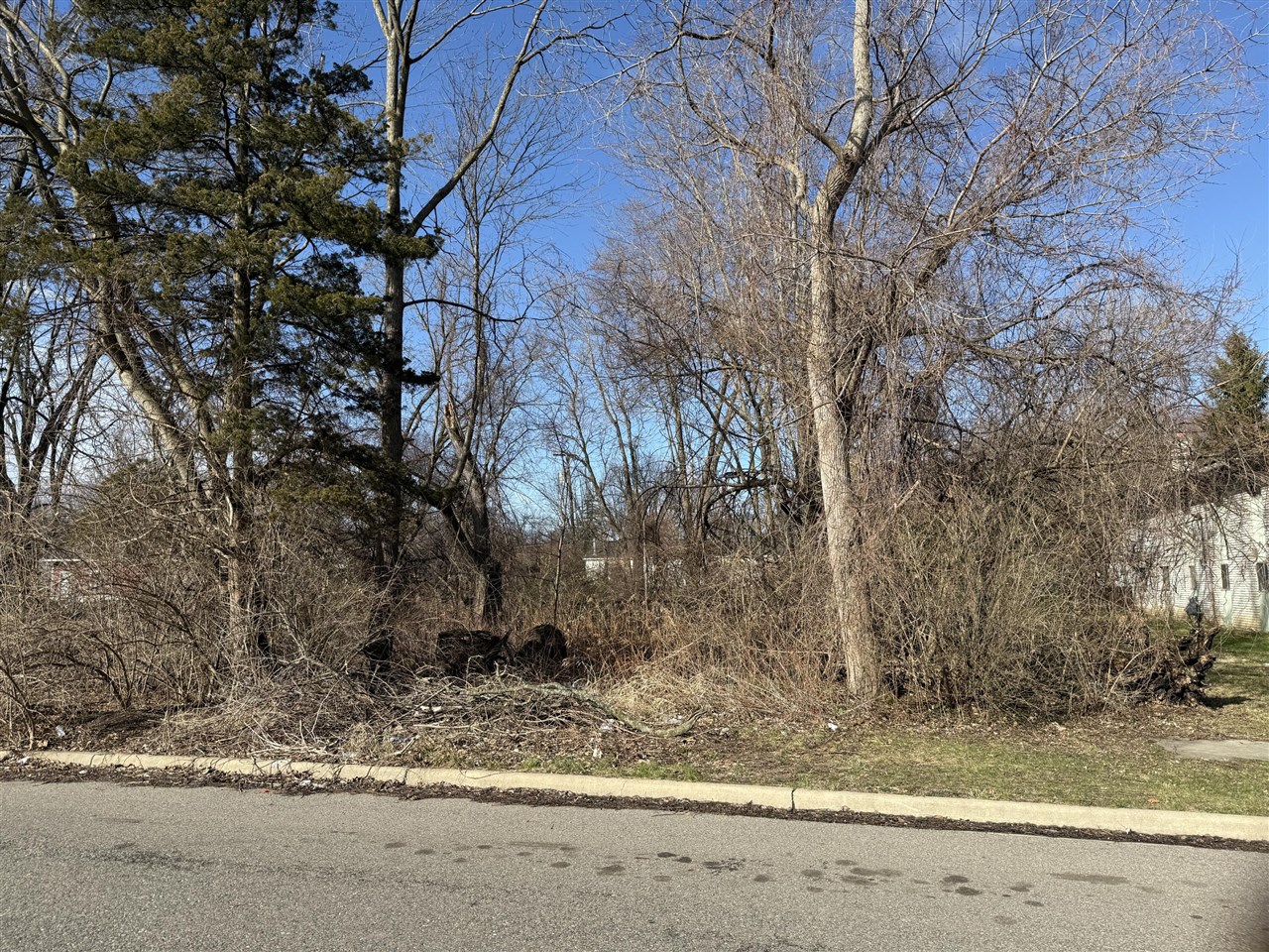 Tromley Street, Inkster, MI, 48141