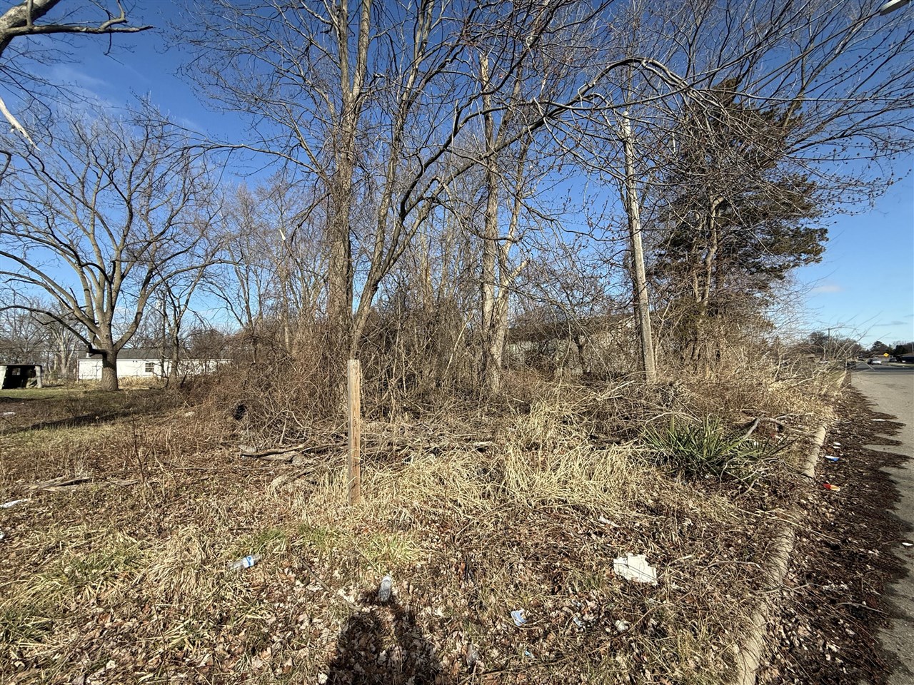Tromley Street, Inkster, MI, 48141