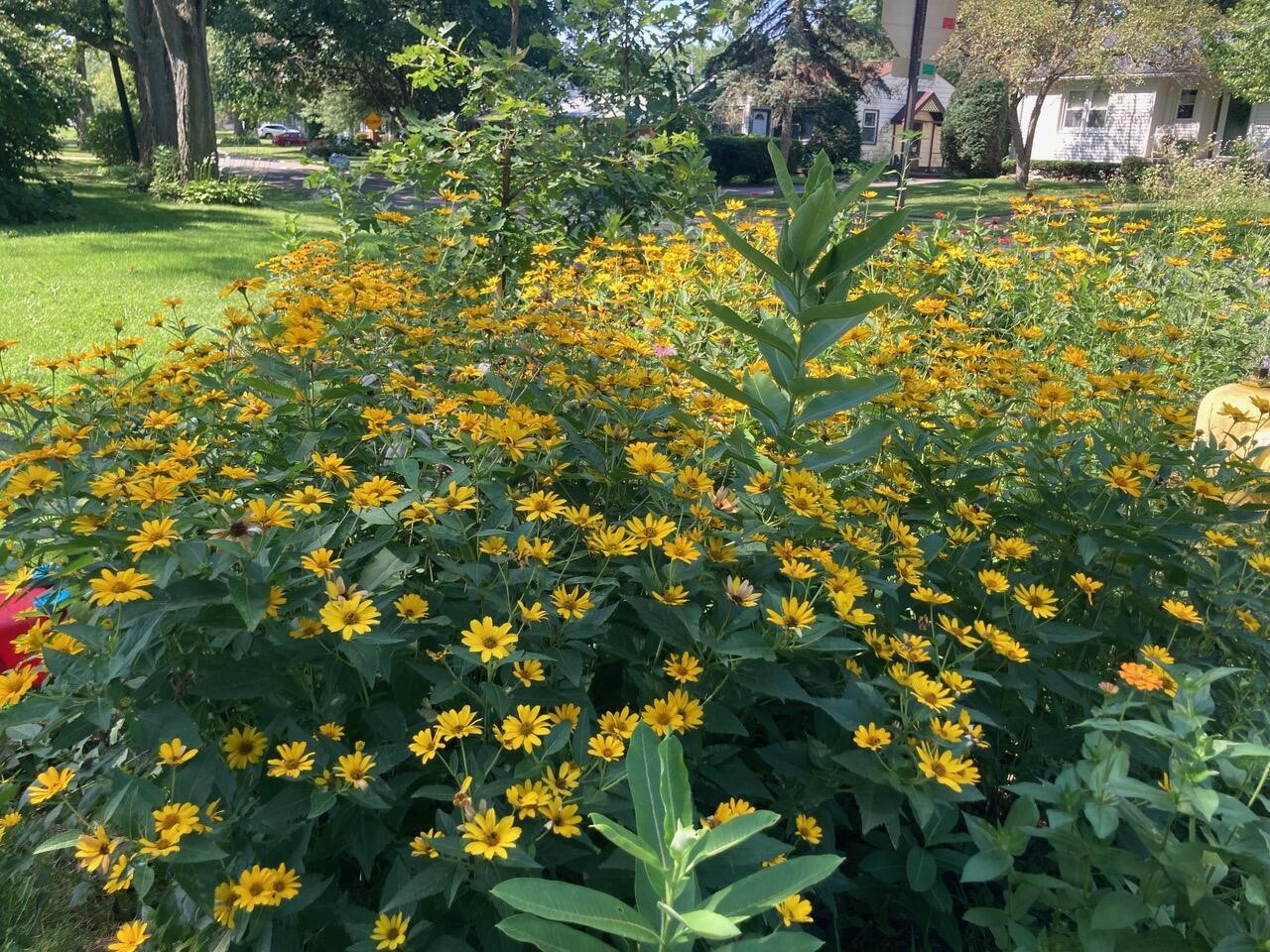 2437 Burns Avenue, Ypsilanti, MI, 48197-4303