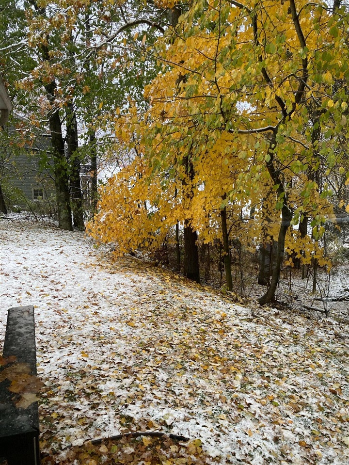 4197 Stoney Hill Drive, Kalamazoo, MI, 49009-5011