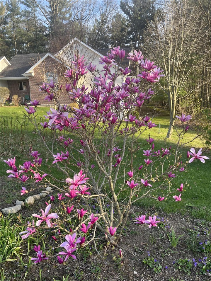 4197 Stoney Hill Drive, Kalamazoo, MI, 49009-5011