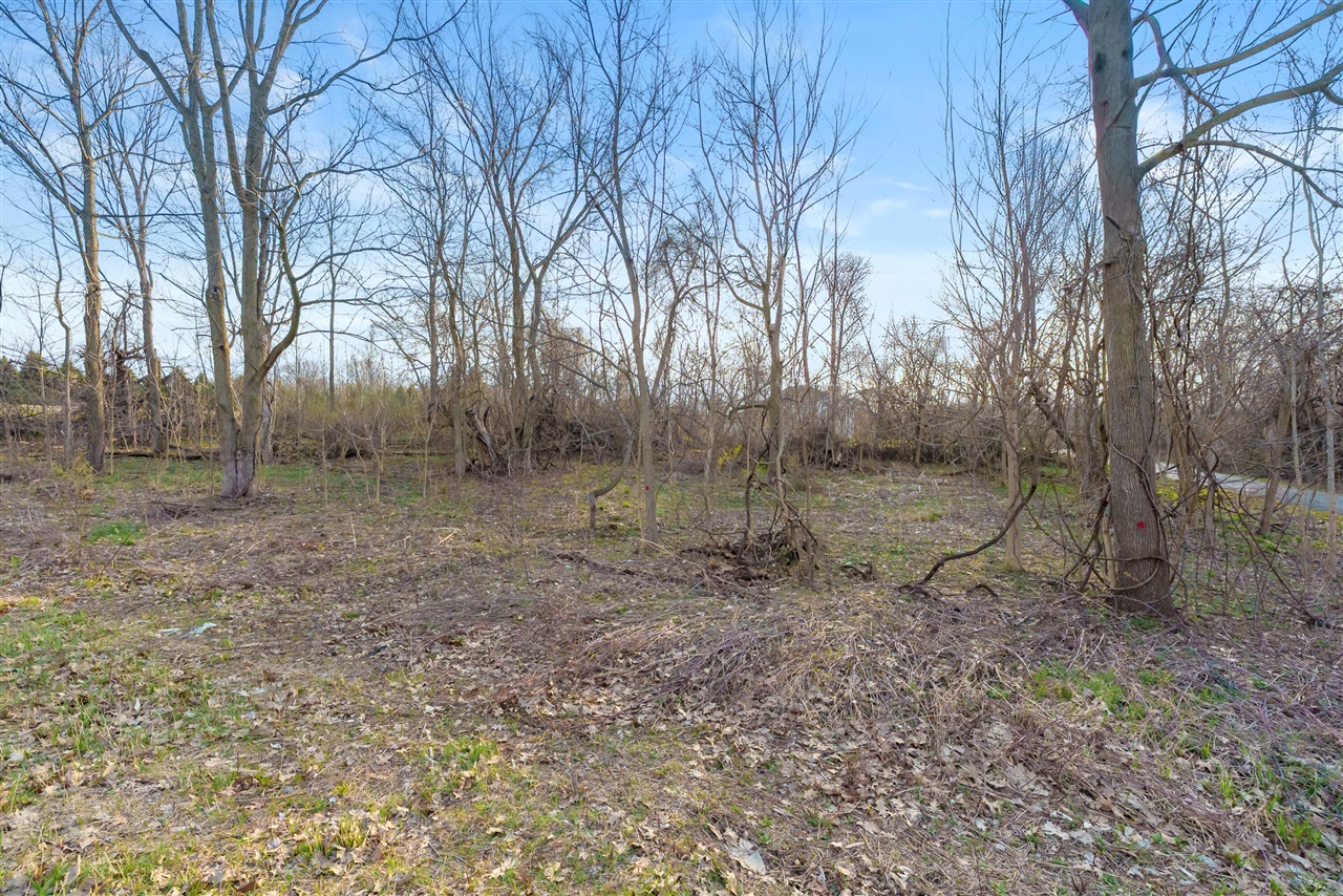 V/L-2 Red Bud Trail, Berrien Springs, MI, 49103