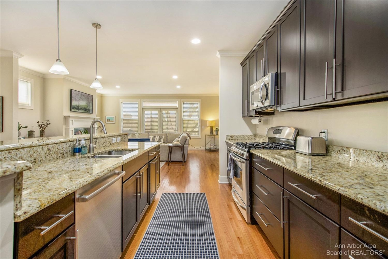 203 W Summit Street, Ann Arbor, MI, 48103-3249