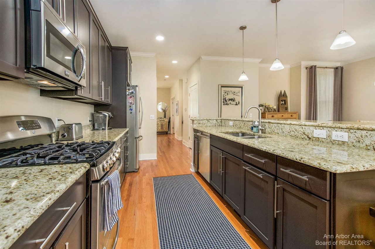 203 W Summit Street, Ann Arbor, MI, 48103-3249