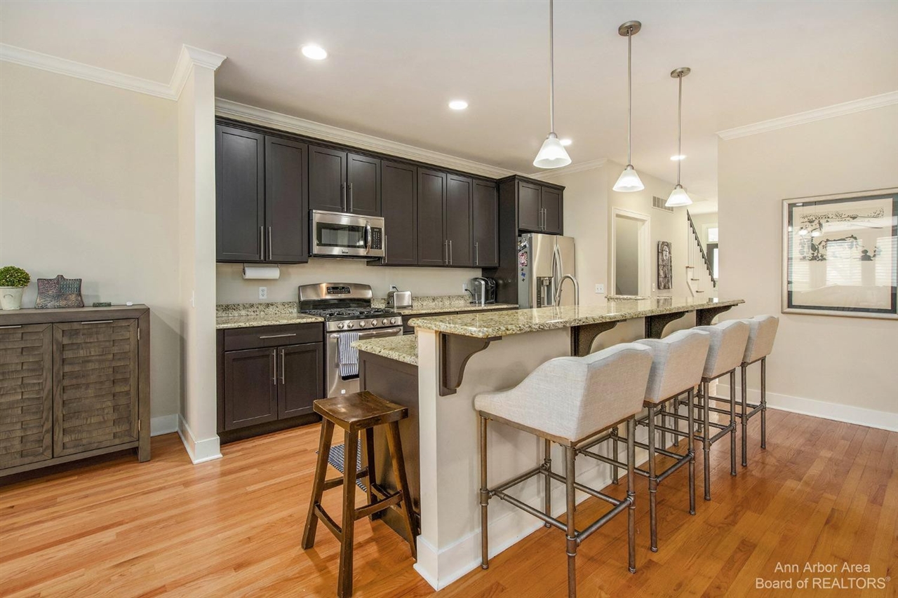 203 W Summit Street, Ann Arbor, MI, 48103-3249