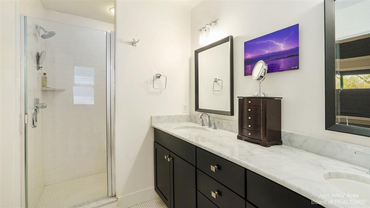 203 W Summit Street, Ann Arbor, MI, 48103-3249