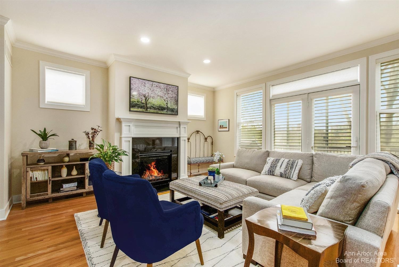 203 W Summit Street, Ann Arbor, MI, 48103-3249