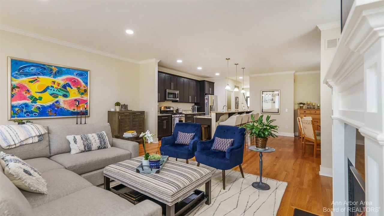 203 W Summit Street, Ann Arbor, MI, 48103-3249