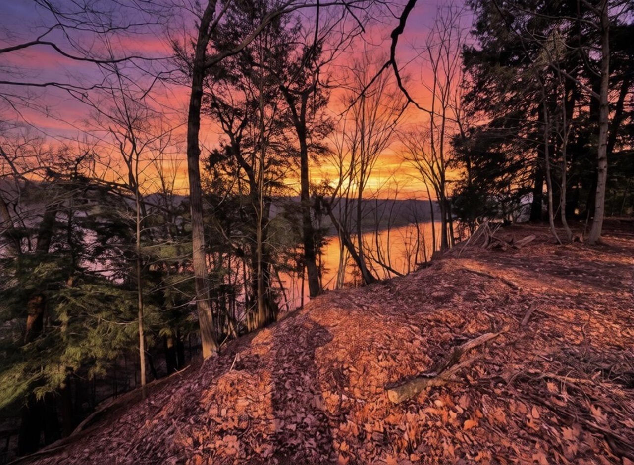Photo 1 of Land for sale at V/l S Teal Ln, Newaygo, MI 49337 | MLS# 70523602 | Listing updated on 2026-10-07