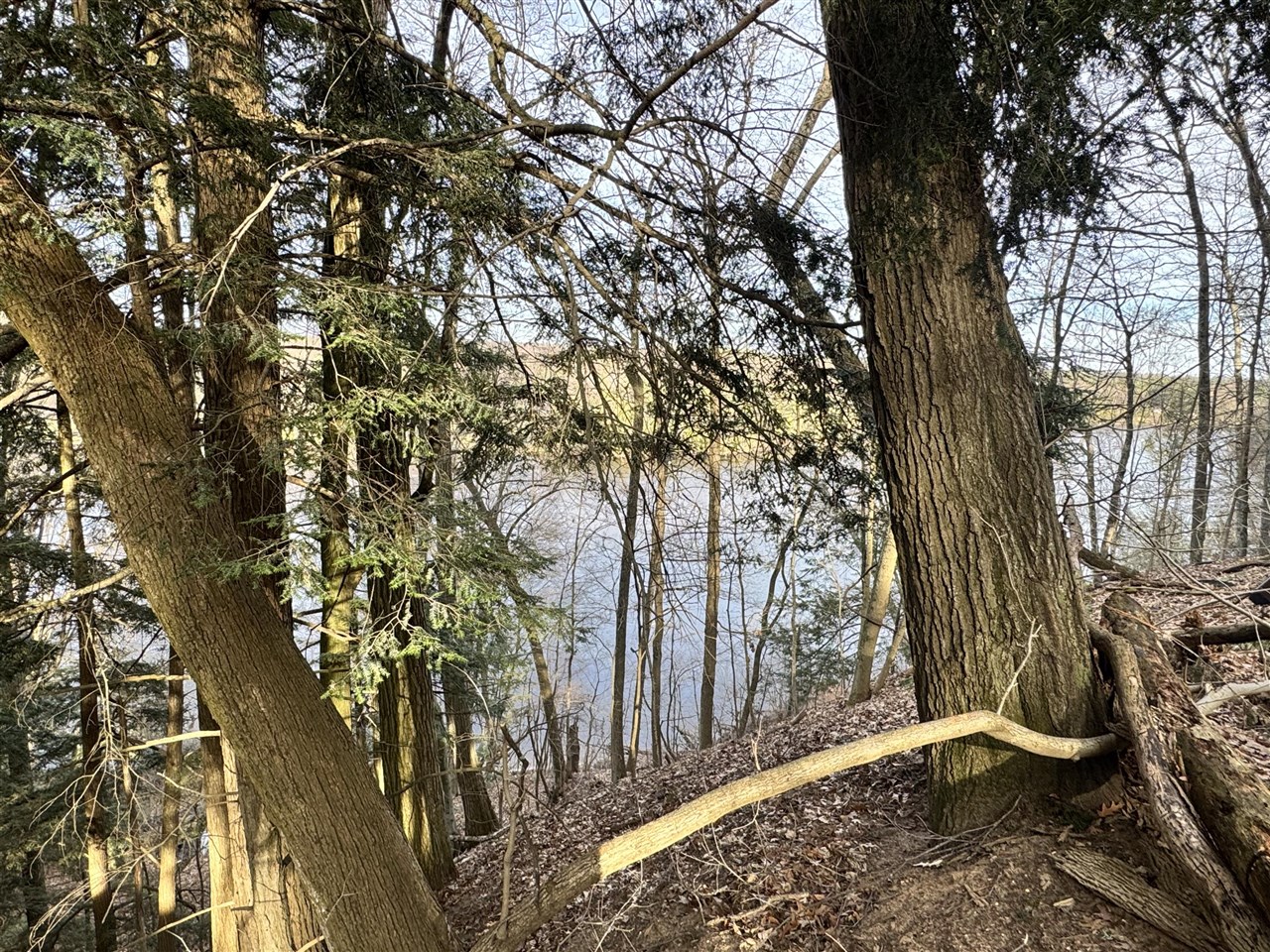 Photo 3 of Land for sale at V/l S Teal Ln, Newaygo, MI 49337 | MLS# 70523602 | Listing updated on 2026-10-07
