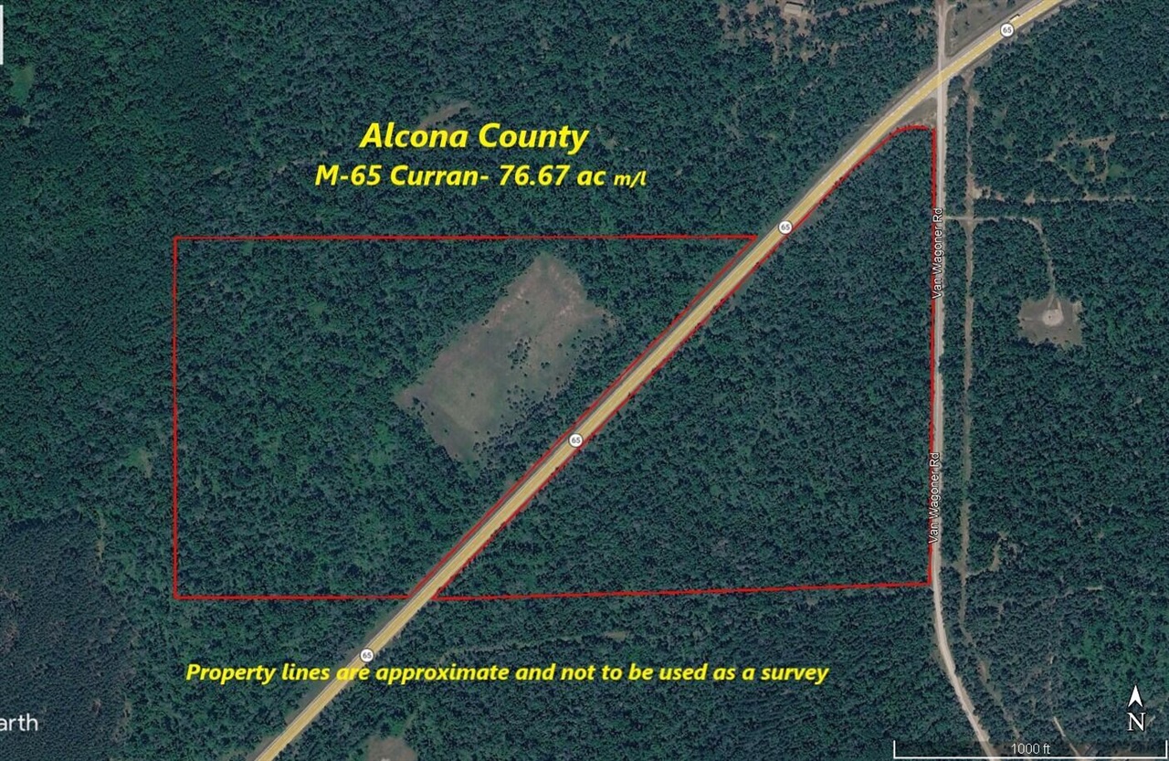 0 VL M-65, Curran, MI, 48728