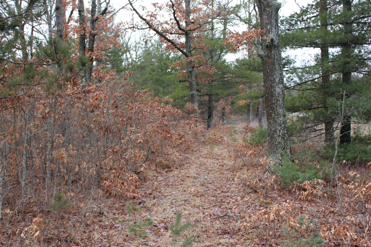 0 VL M-65, Curran, MI, 48728