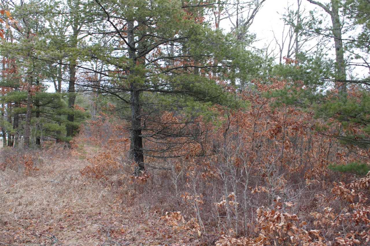 0 VL M-65, Curran, MI, 48728