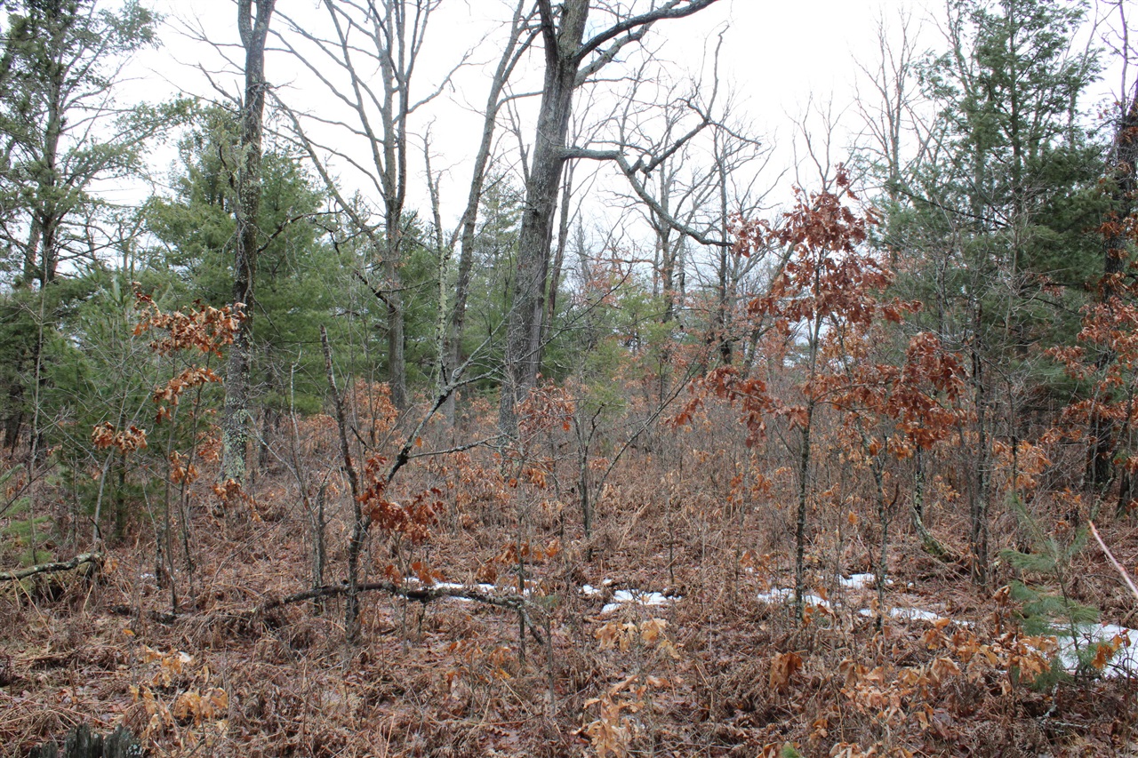 0 VL M-65, Curran, MI, 48728