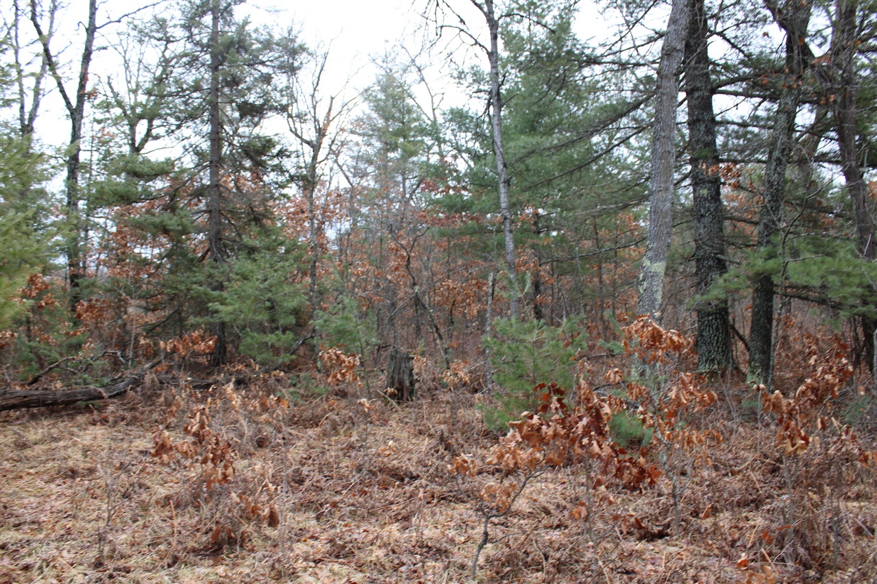 0 VL M-65, Curran, MI, 48728