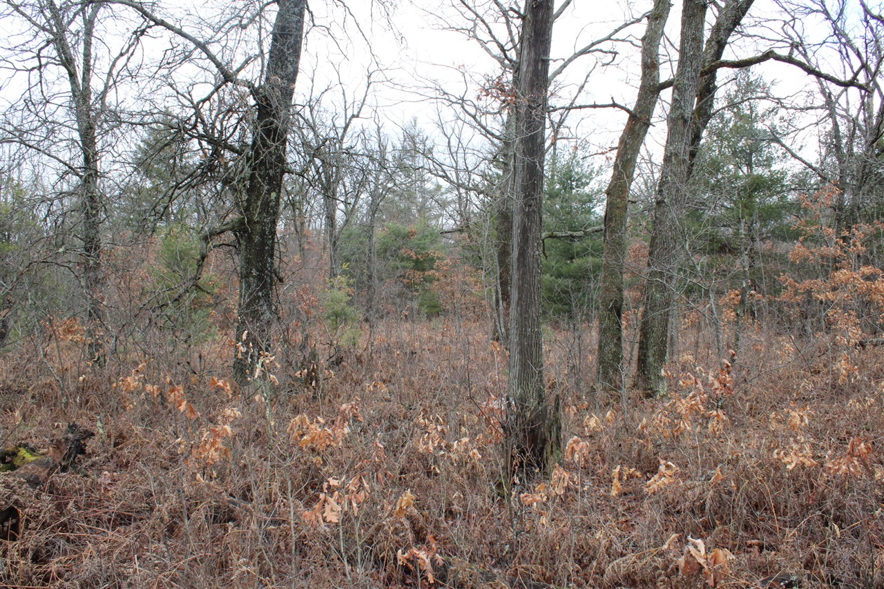 0 VL M-65, Curran, MI, 48728