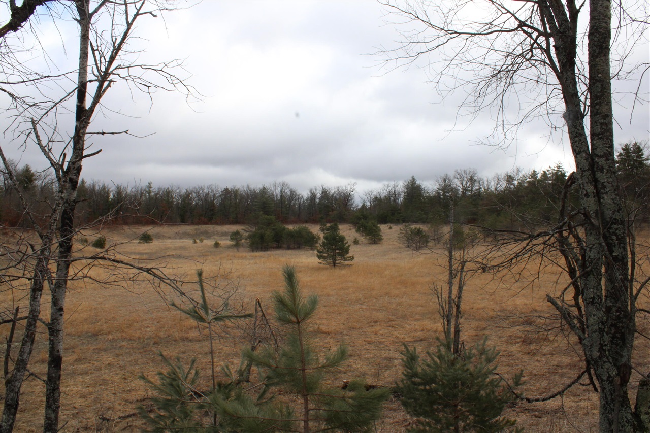 0 VL M-65, Curran, MI, 48728