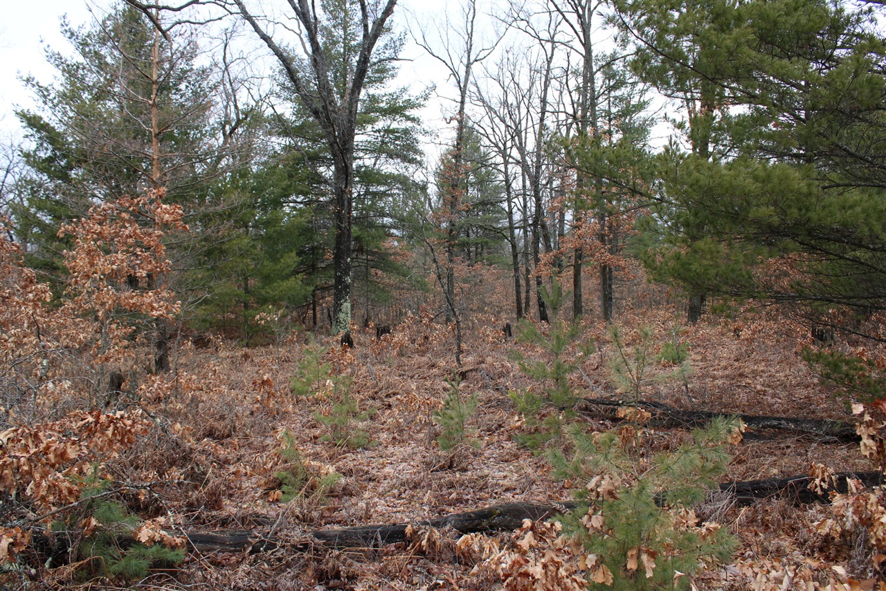 0 VL M-65, Curran, MI, 48728