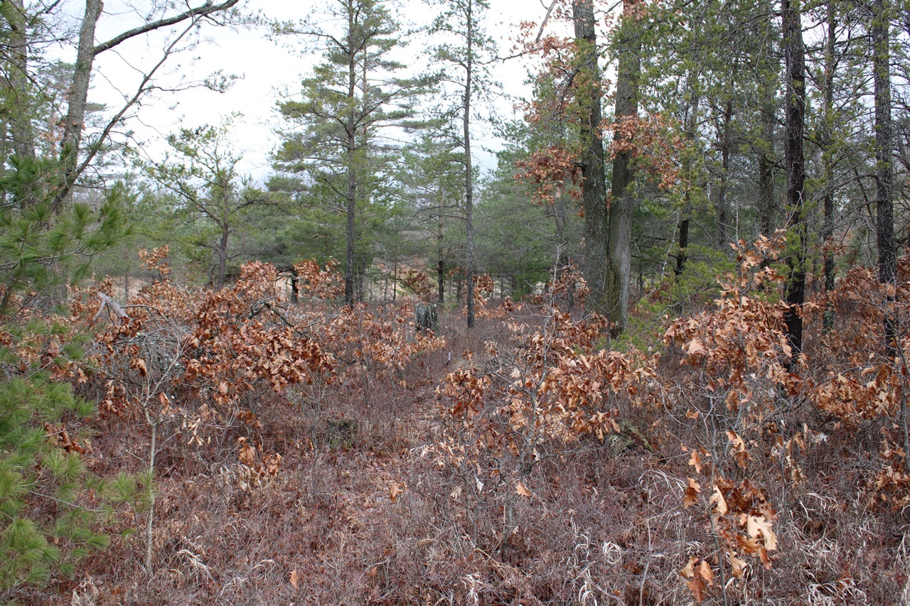 0 VL M-65, Curran, MI, 48728