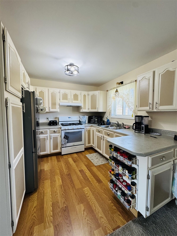 305 Monroe Avenue, Big Rapids, MI, 49307-1353