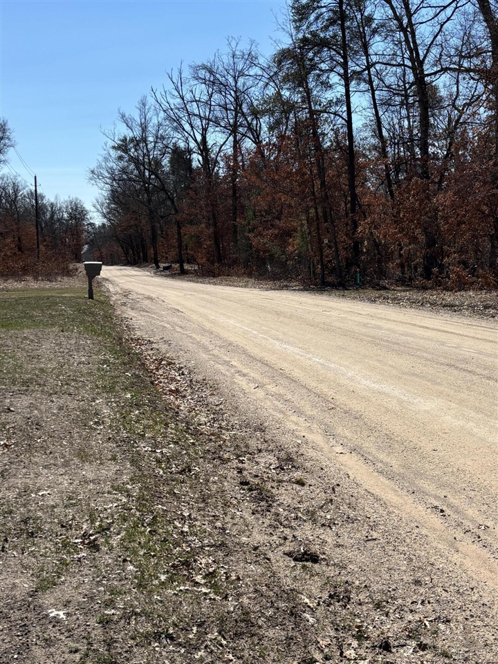 3114 S James Road, Baldwin, MI, 49304