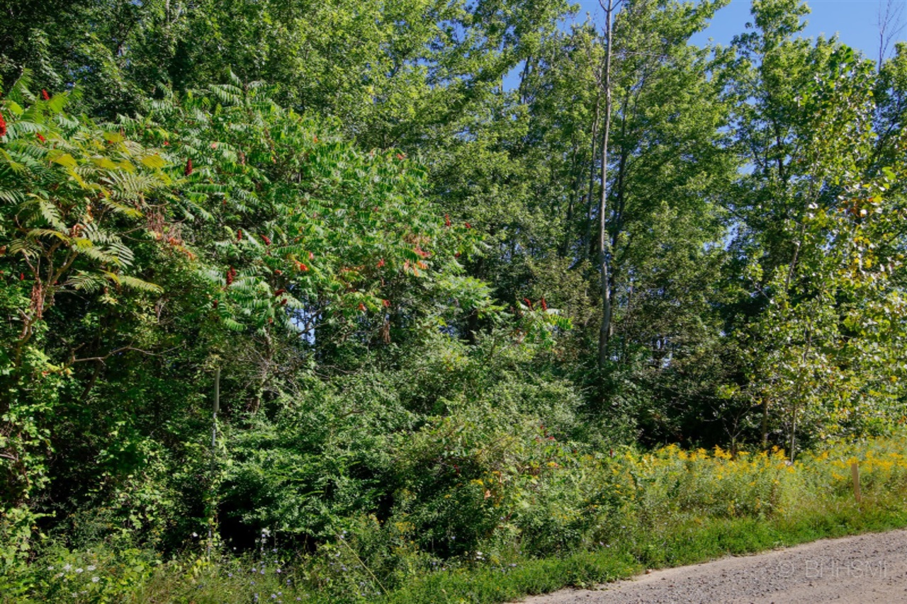Maple Street, South Haven, MI, 49090
